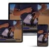 Texas Soul License to Carry - The Art of Concealment - Online Class